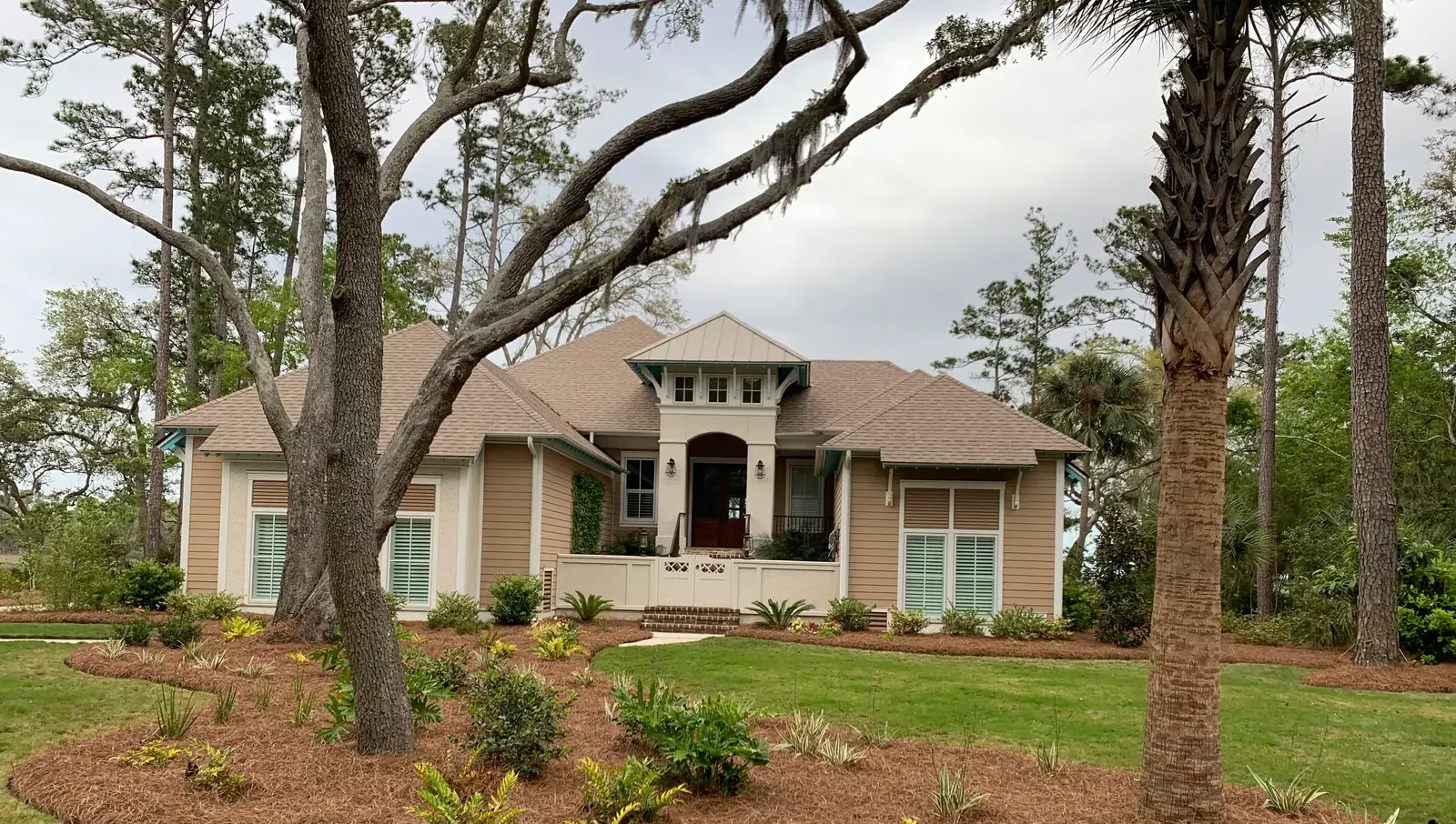 A large island bed of fresh longleaf pinestraw planted with ferns and shrubs in front of a single-story home, with palms and oaks
